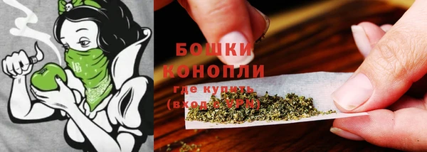 стаф Гусь-Хрустальный