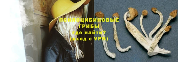 стаф Гусь-Хрустальный