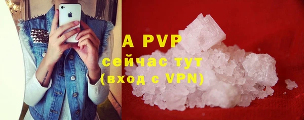 стаф Гусь-Хрустальный