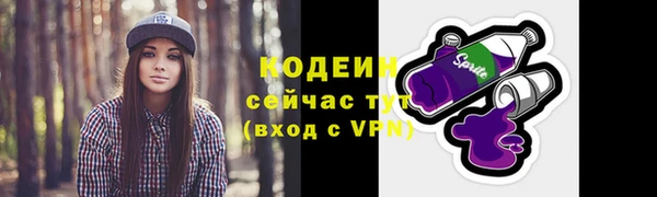 стаф Гусь-Хрустальный