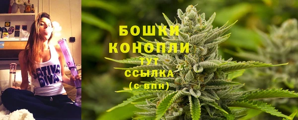 стаф Гусь-Хрустальный