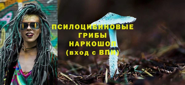 стаф Гусь-Хрустальный
