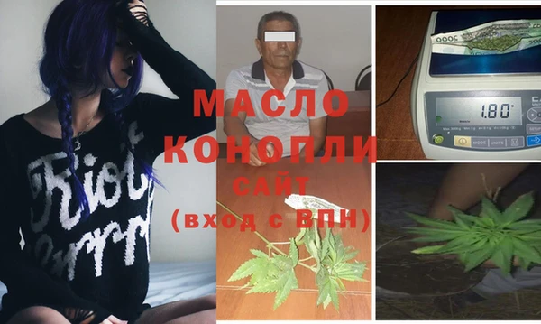 стаф Гусь-Хрустальный