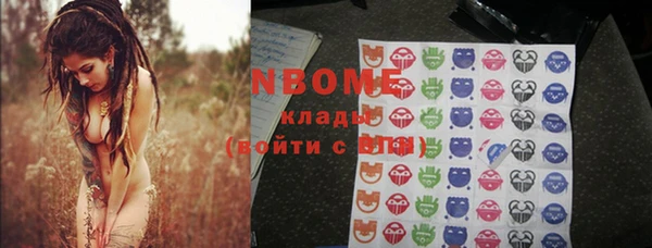 стаф Гусь-Хрустальный