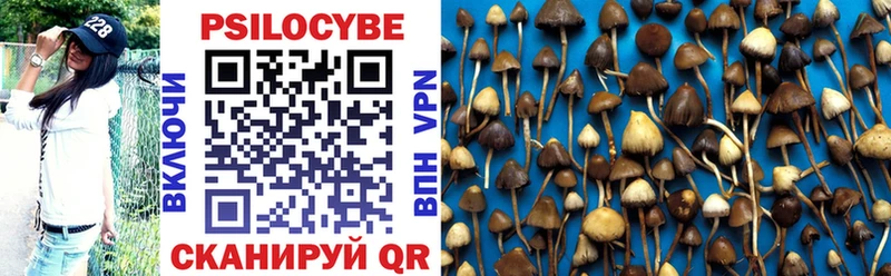 Псилоцибиновые грибы Psilocybine cubensis Духовщина